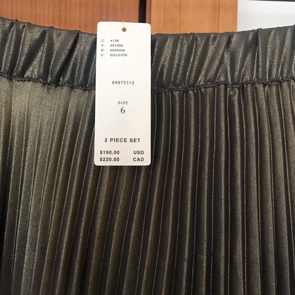 NWT Anthropologie Skirt Set. Metallic gold color - Picture 7 of 13